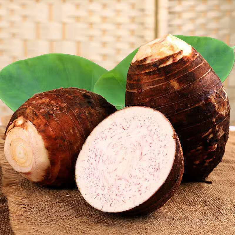 Lipu Taro